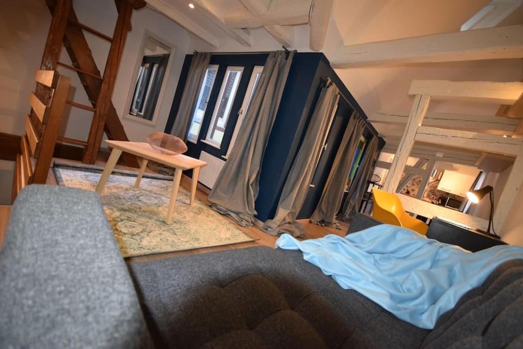 Le Studio Du Quai Des Pecheurs - Charmant Duplex Sur Les Quais Strasbourg Exterior photo