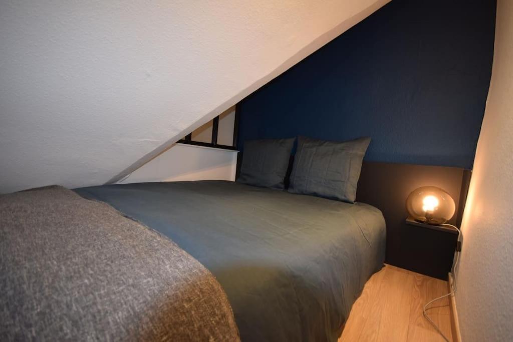 Le Studio Du Quai Des Pecheurs - Charmant Duplex Sur Les Quais Strasbourg Exterior photo